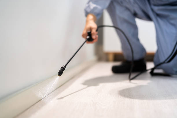 Licensed Termite Control service in Asheboro, NC - Nex Pest Control