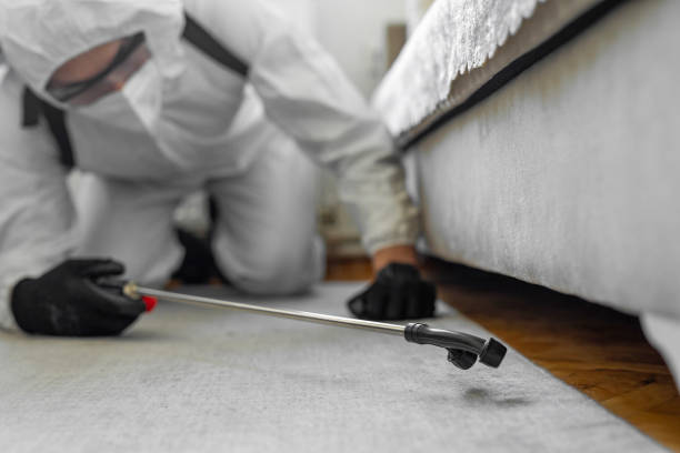 Professional Termite Control technician working in Asheboro, NC