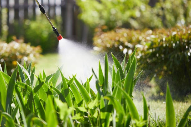24/7 Emergency Termite Control experts in Asheboro, NC