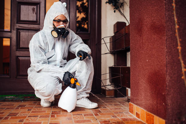 Reliable Termite Control contractor in Asheboro, NC by Nex Pest Control