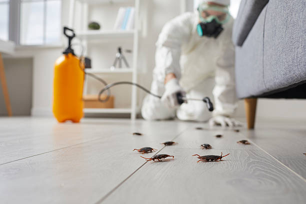 Affordable Termite Control solutions in Asheboro, NC