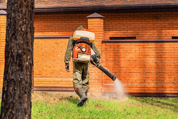 Top rated local Termite Control specialists in Asheboro, NC